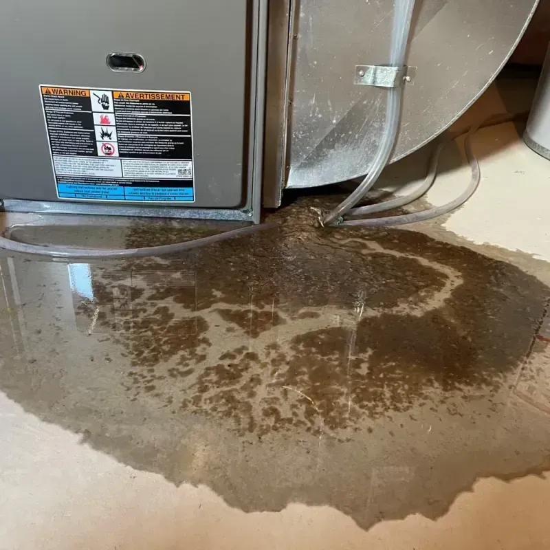 Appliance Leak Cleanup in Spring City, TN